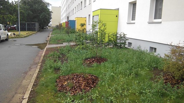 Bild:  Mit frischer wei&szlig;er Fassade, farbenfrohen Hauseing&auml;ngen und  begr&uuml;nten Vorg&auml;rten pr&auml;sentiert sich der Wohnblock der SWG in der Hardenbergstra&szlig;e.