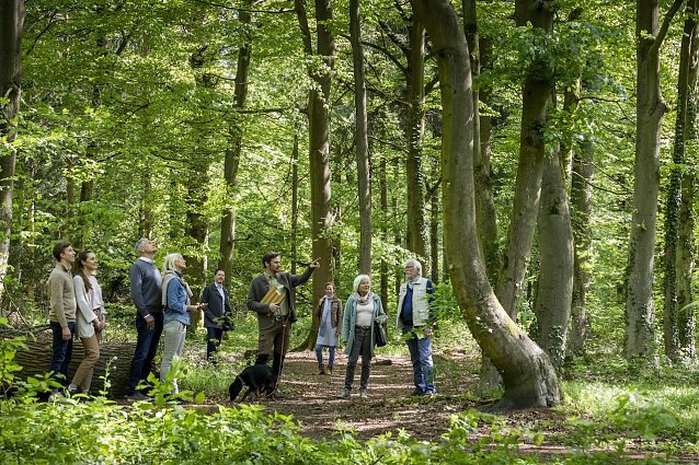 Bild: Waldf&uuml;hrung durch den FriedWald