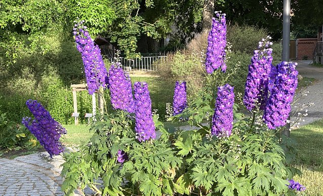 Bild: Weitere ruhiges Sommerwetter
