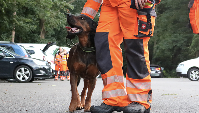 Bild: Mit Suchhunden probte man am Wochenende den Ernstfall im Gumpetal bei Nordhausen