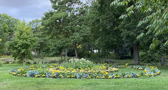Bild: Arboretum Bad Langensalza