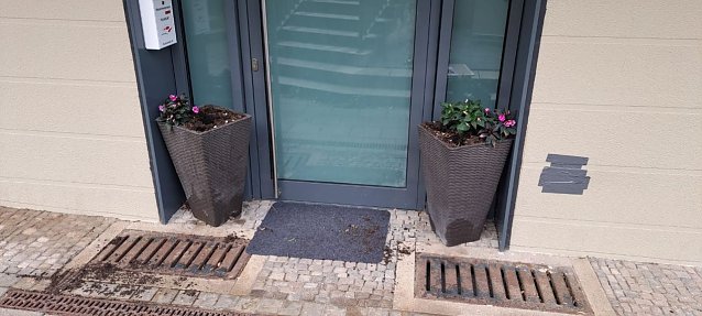 Bild: Vor der Hebammenpraxis "RUNDUM" werden immer wieder Blumen gestohlen