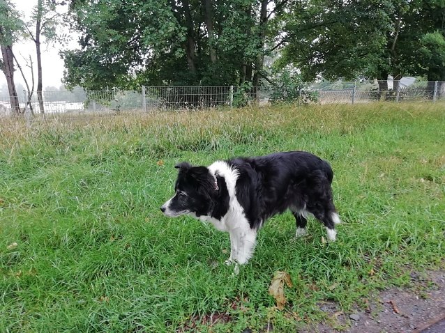 Bild: 17 Grad und bew&ouml;lkt - in Sophienhof lie&szlig; das schlechte Wetter heute morgen noch auf sich warten