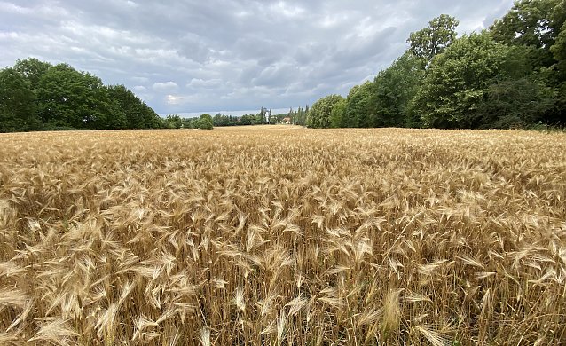 Bild: Der Sommer pausiert leider weiter