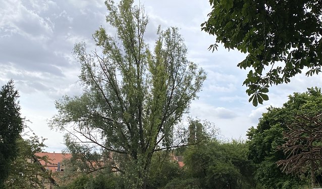 Bild: Weiterhin st&uuml;rmisches Wetter