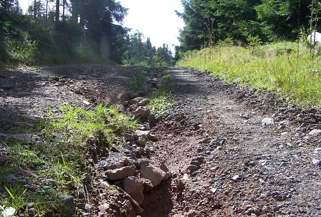Bild: Starkniederschl&auml;ge im August haben zur Rinnenbildung inmitten eines Waldweges gef&uuml;hrt und die grobsteinige Tragschicht offengelegt. Hier ist eine aufwendige Wegeinstandsetzung erforderlich