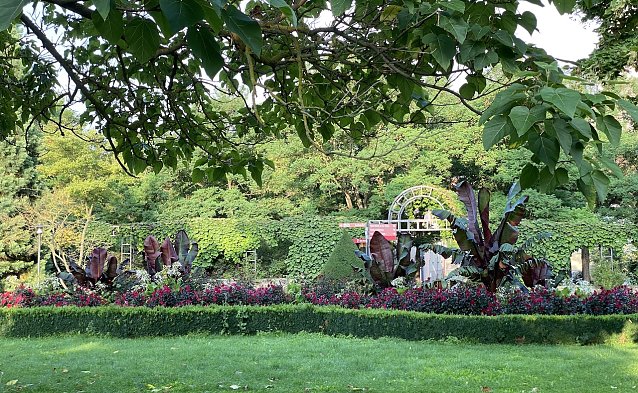 Bild: Blumenpracht im Bad Langensalzaer Kurpark