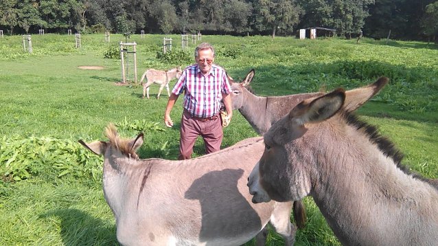 Bild:  Wilfried Forst mit seinen Tieren auf der erst in diesem Jahr angelegten weitr&auml;umigen Eselwiese, bepflanzt mit &Auml;pfel-, Pflaumen -und Kirschb&auml;umen.