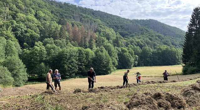 Bild: Landschaftspflege im Brandesbachtal