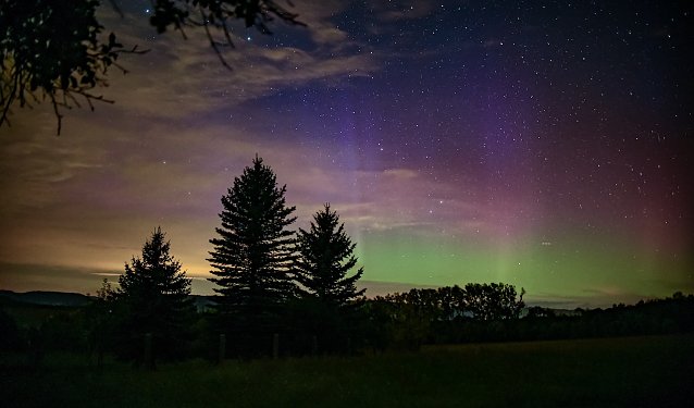 Bild: Polarlichter &uuml;ber Rehungen