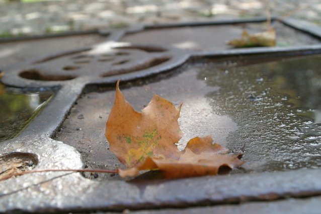 Bild: Wetterbild