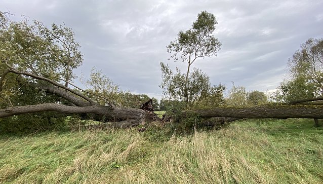 Bild: Weiter k&uuml;hles Herbstwetter