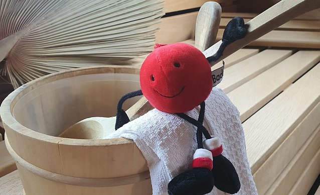 Bild: Maskottchen Baddel testet schon eimal die Temperaturen in der Sauna