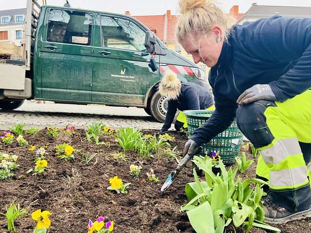Bild: Blumenpflanzungen im Stadtgebiet