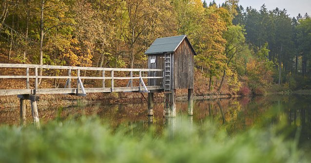 Bild: Sagenumworbener Oberharz