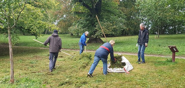 Bild:  M&auml;hen f&uuml;r mehr Blumen und Wildbienen im kommenden Jahr: Acht Aktive pflegten die Streuobstwiese des Villenparks Hohenrode.
