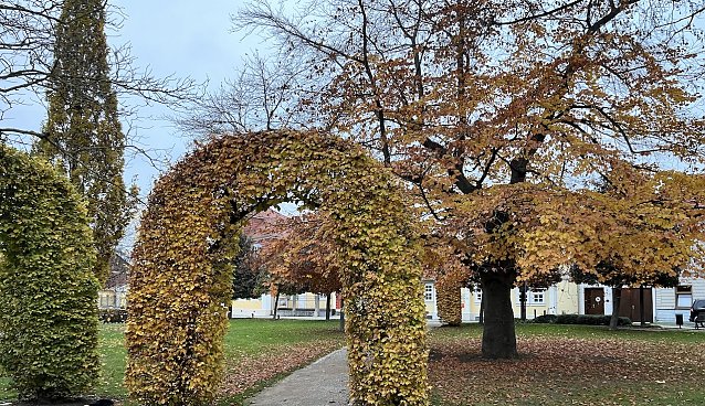 Bild: Rostfarbener Kurpark in Bad Langensalza