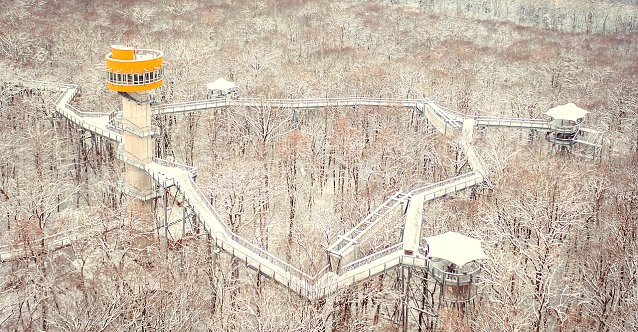 Bild:  Fantastischer Ausblick im Winter: der Baumkronenpfad von oben