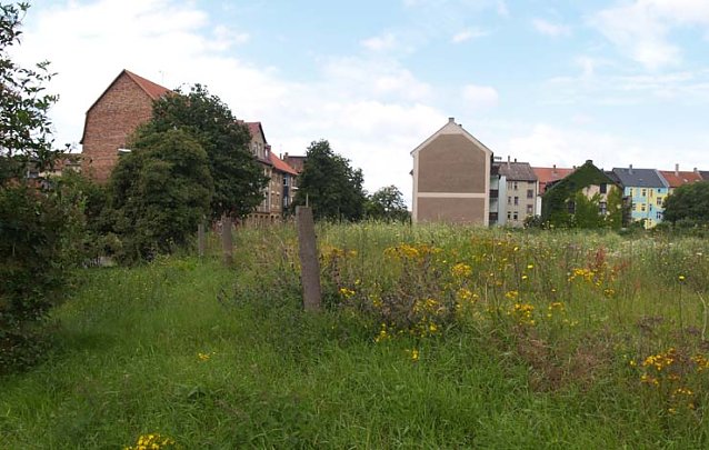 Bild: Neben Lidl-Parkplatz