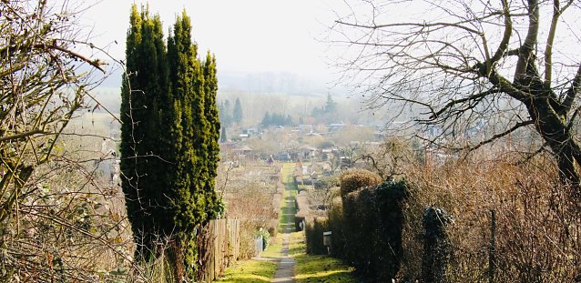 Bild: Blick auf eine Kleingartenanlage in Nordhausen