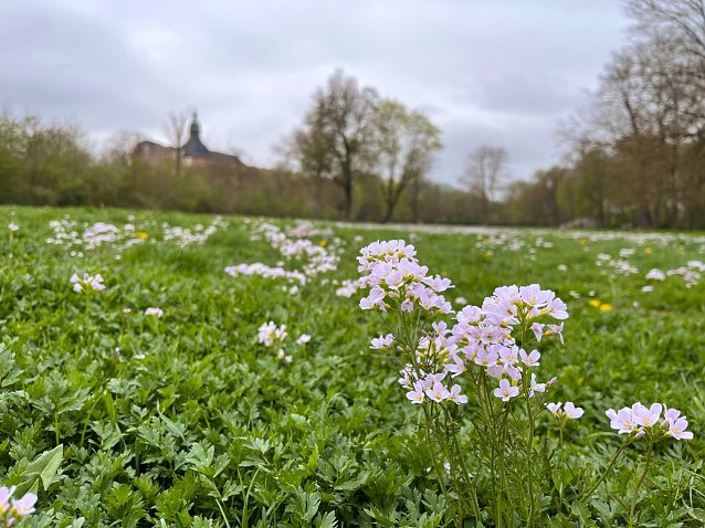 Bild: 