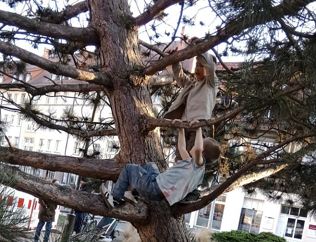 Bild: Kinder klettern auf einem Baum