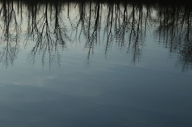 Bild: 