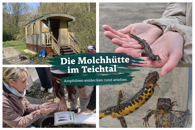 Bild: 