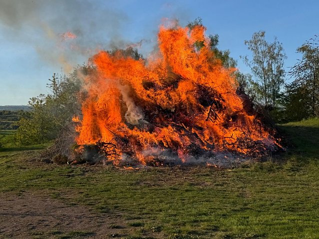 Bild: 