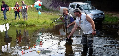 Bild: Enten am Ziel