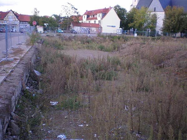 Bild: pferdemarkt