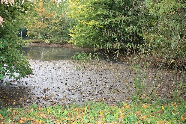 Bild: Stadtpark Teich