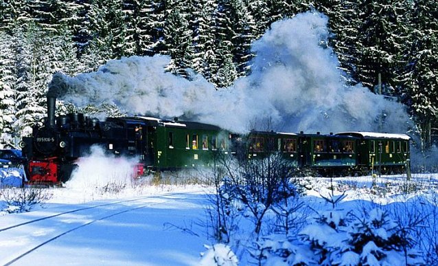 Bild: Durch den Winterwald