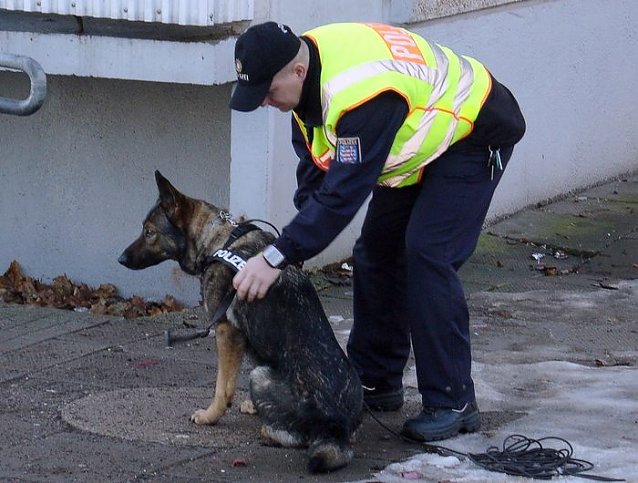 Bild: Polizei sucht Spuren