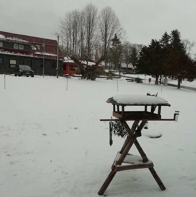 Bild: Sopjienhof im Schnee
