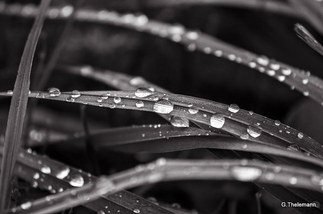 Bild: Wetter-Bild