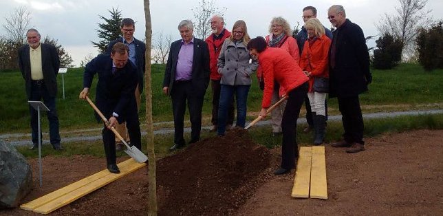 Bild: Baum gepflanzt