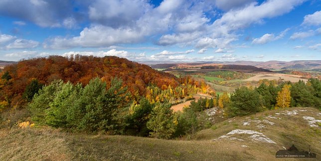 Bild: Fotokurse im Herbst
