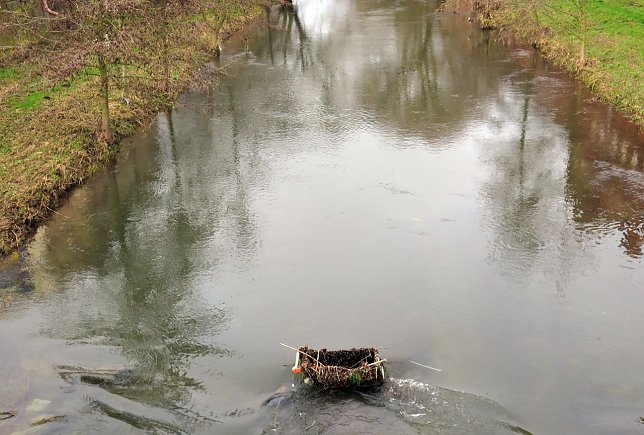 Bild: Das Ding im Fluss