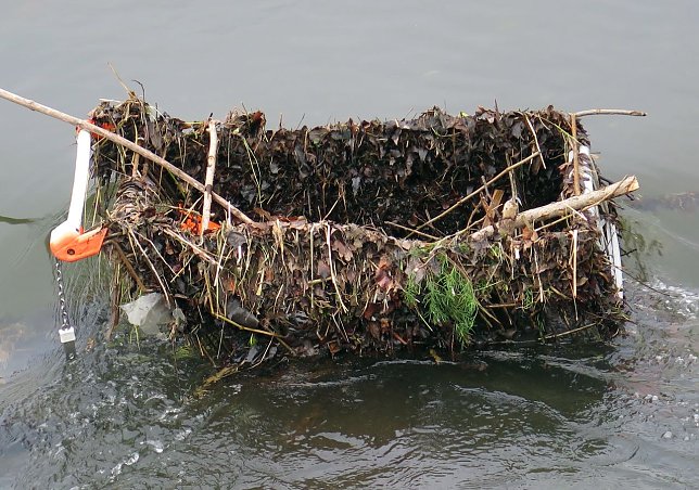 Bild: Das Ding im Fluss