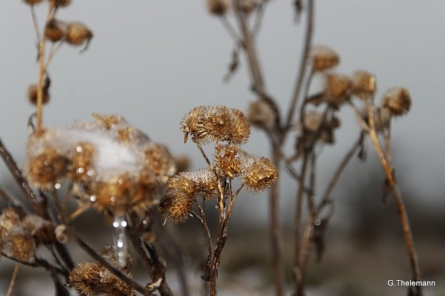 Bild: Wetter-Bild