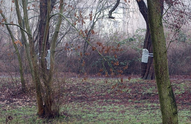 Bild: Verpackte Schmierereien