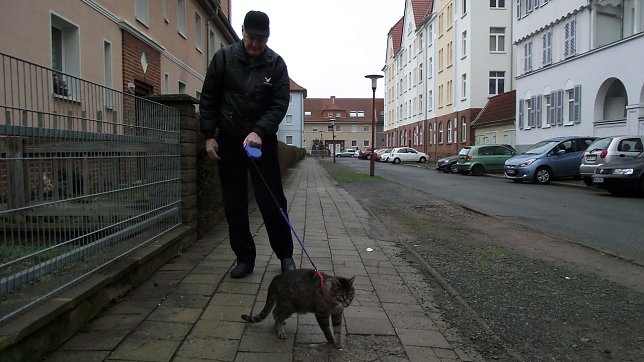 Bild: Felix und sein Herrchen beim Spaziergang