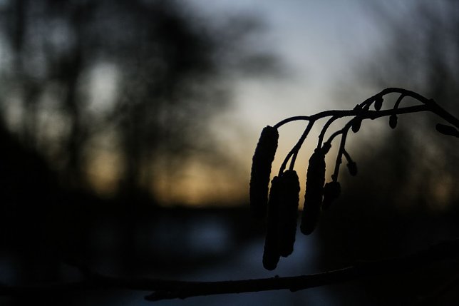 Bild: Wetter-Bild