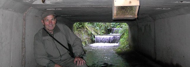 Bild: Herbert Buchholz bringt Nisthilfen f&uuml;r Wasseramseln unter Br&uuml;cken an Bach-und Flussl&auml;ufen an.