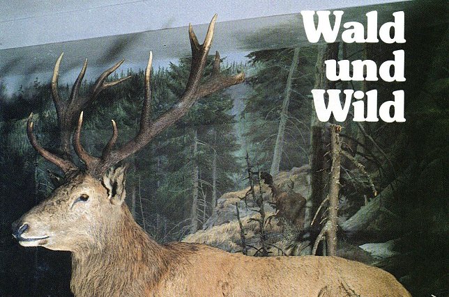 Bild: Unser Harz ist erschienen