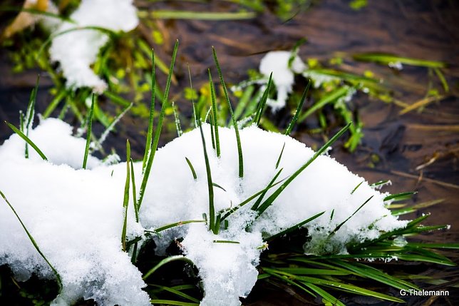 Bild: Wetter-Bild