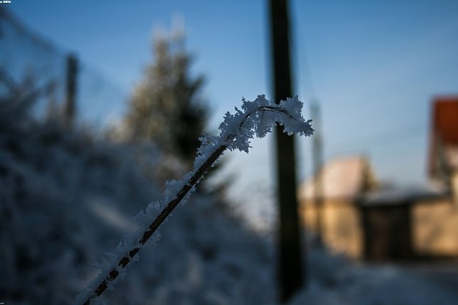 Bild: Wetter-Bild