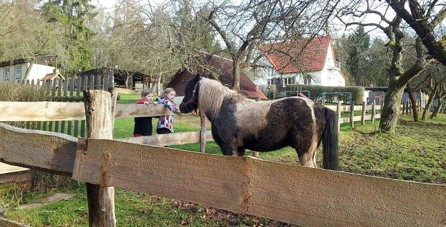 Bild: Feriencamp in Harzrigi