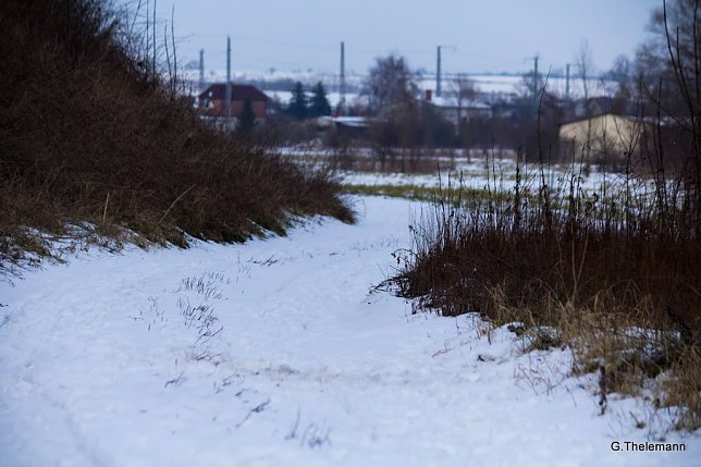 Bild: Wetter-Bild